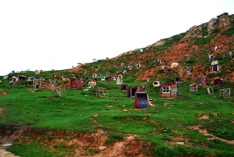 dsc_8862.jpg