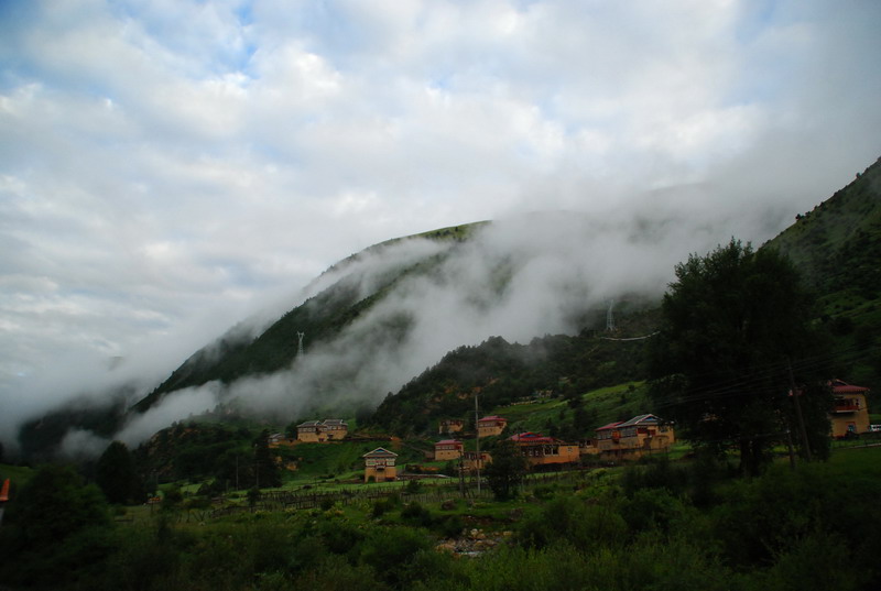 dsc_9019.jpg