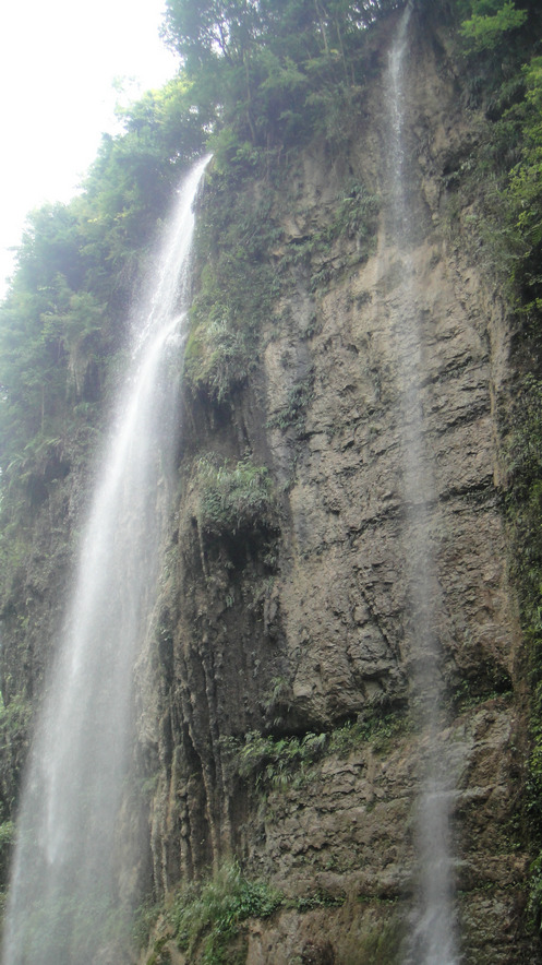 dsc01182.jpg