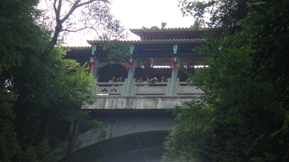 dsc01183.jpg