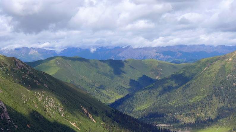 l1020770_.jpg