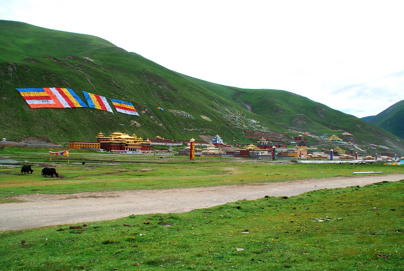 dsc_9519.jpg