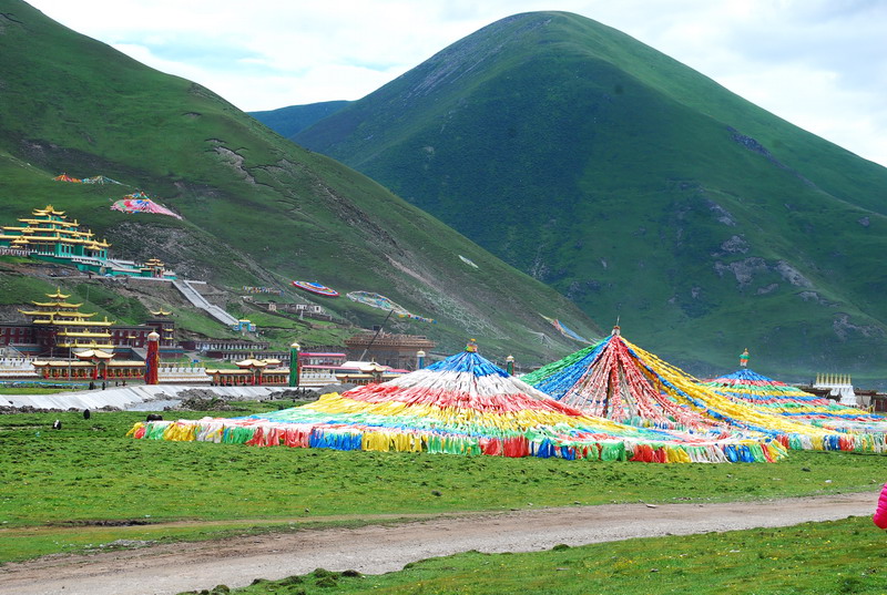 dsc_9523.jpg