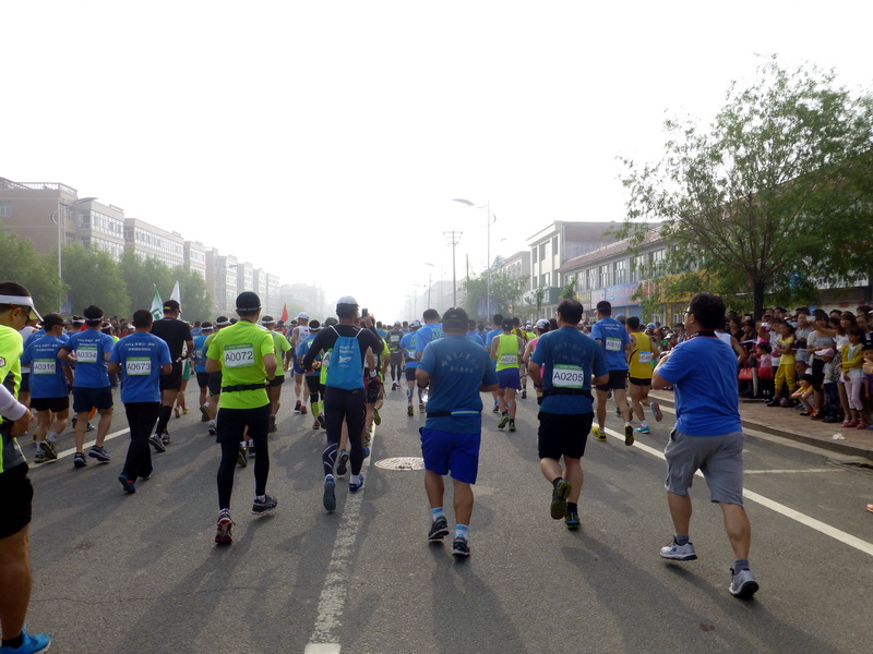 p1230395.jpg