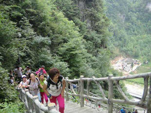 dsc01323-9.jpg