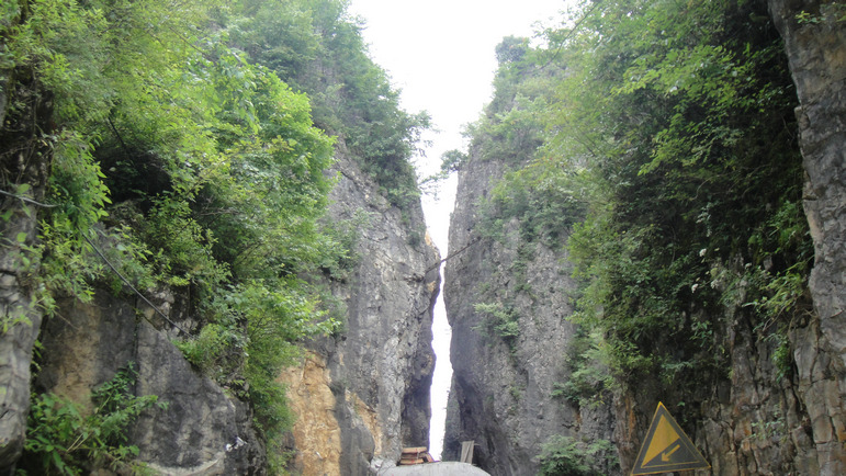 dsc01323.jpg