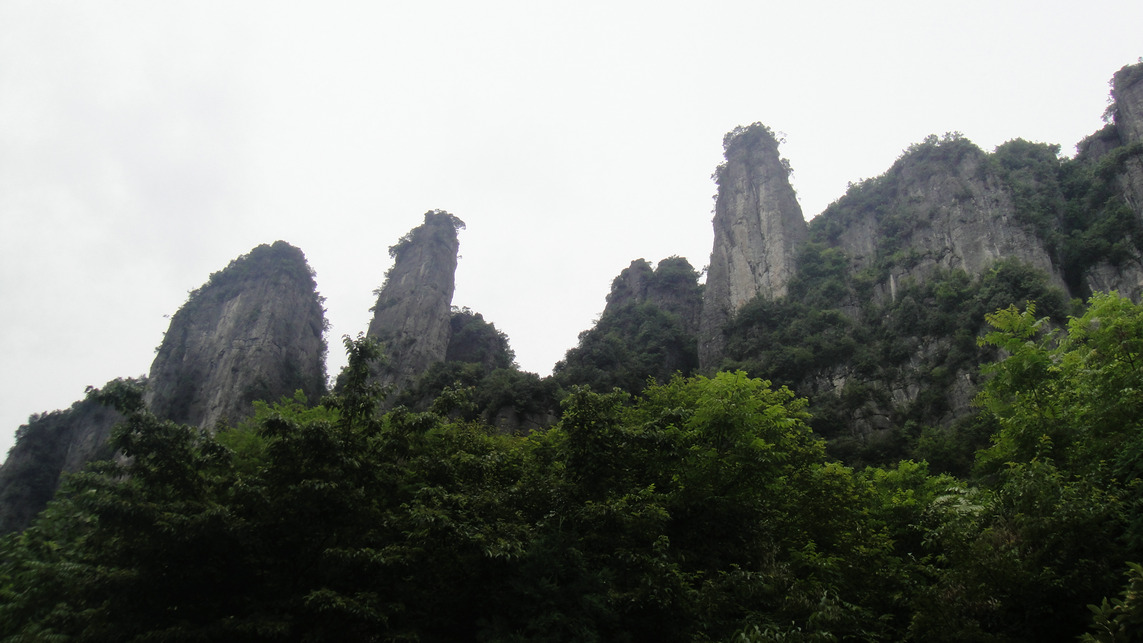 dsc01287.jpg