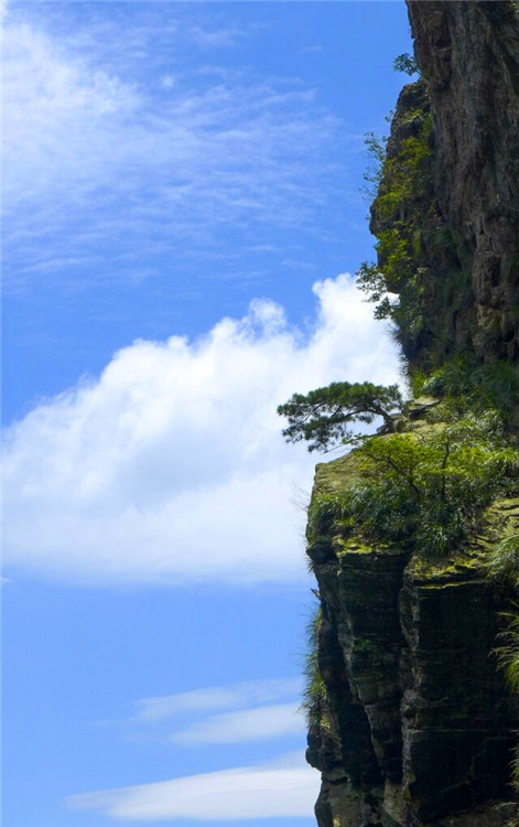 qqͼƬ20140807181259_.jpg