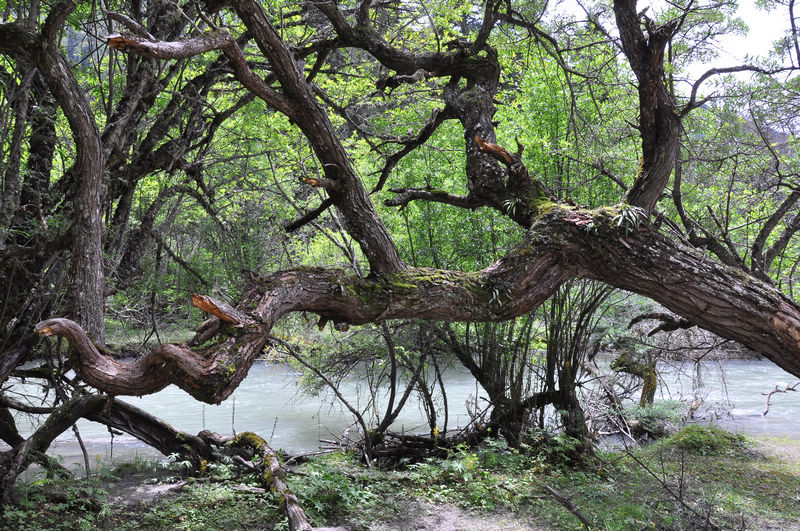 dsc_0007.jpg