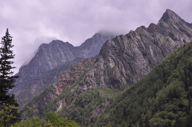 dsc_0019.jpg