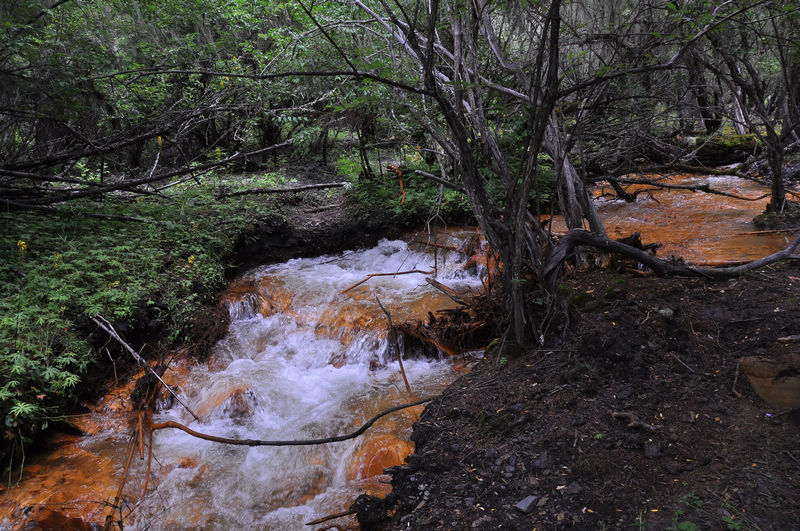 dsc_0026.jpg