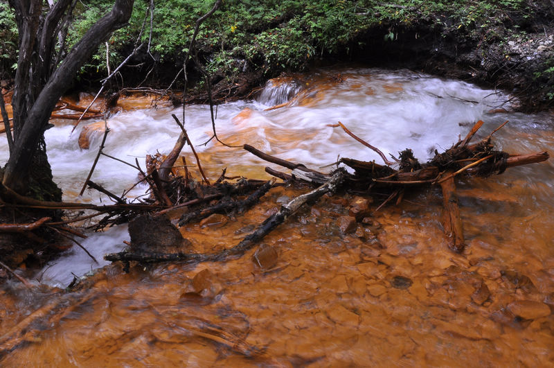 dsc_0033.jpg