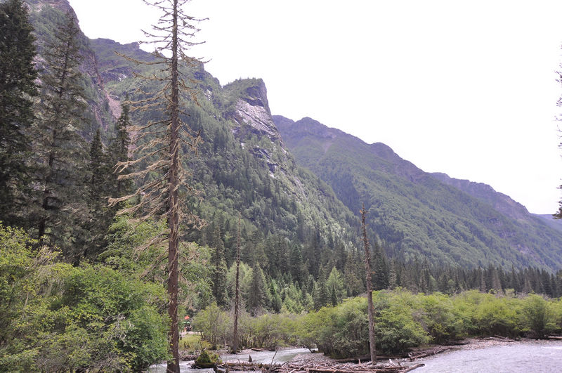 dsc_0068.jpg