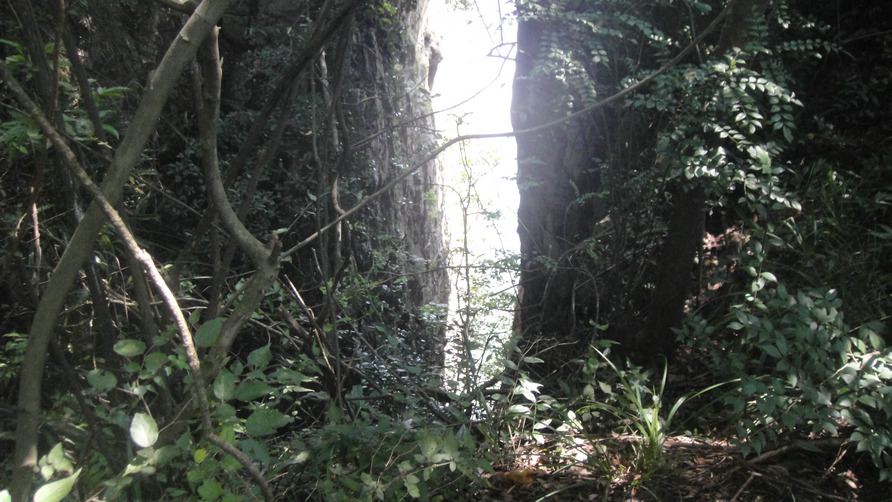 dsc05500.jpg