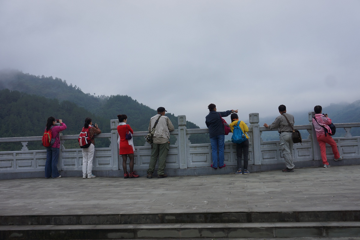 dsc02474.jpg