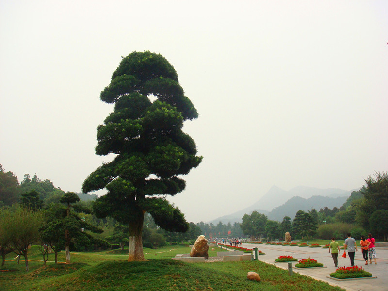 dsc07714__.jpg