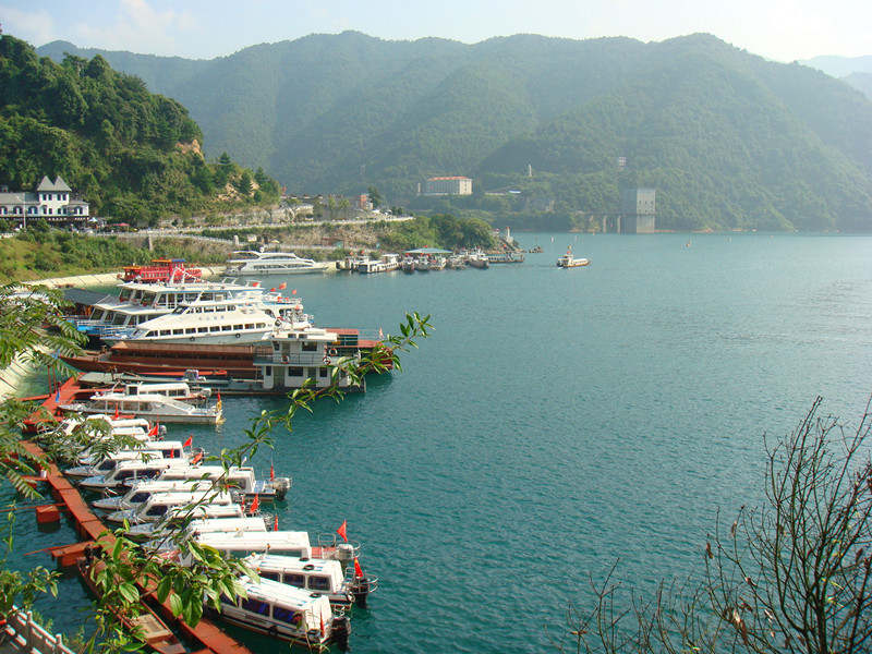 dsc07799__.jpg