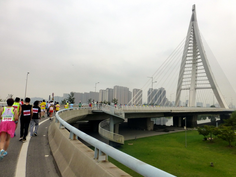 p1260186.jpg