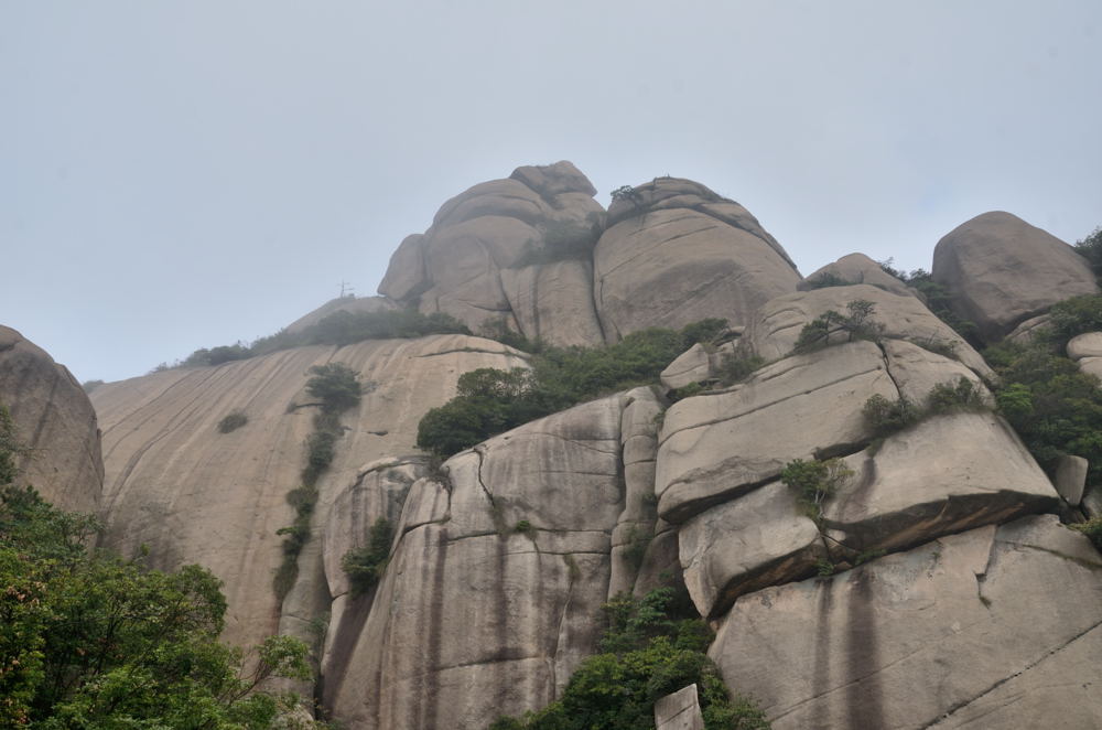 dsc_6756.jpg