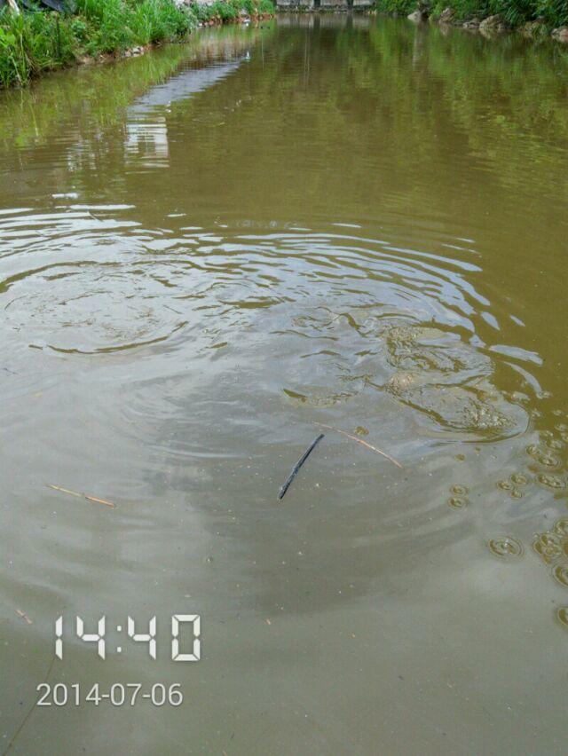 n3.jpg