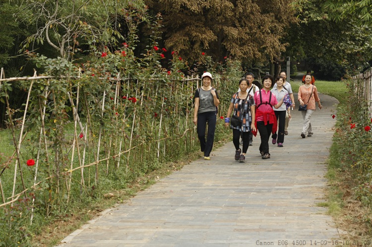 _mg_6815.jpg