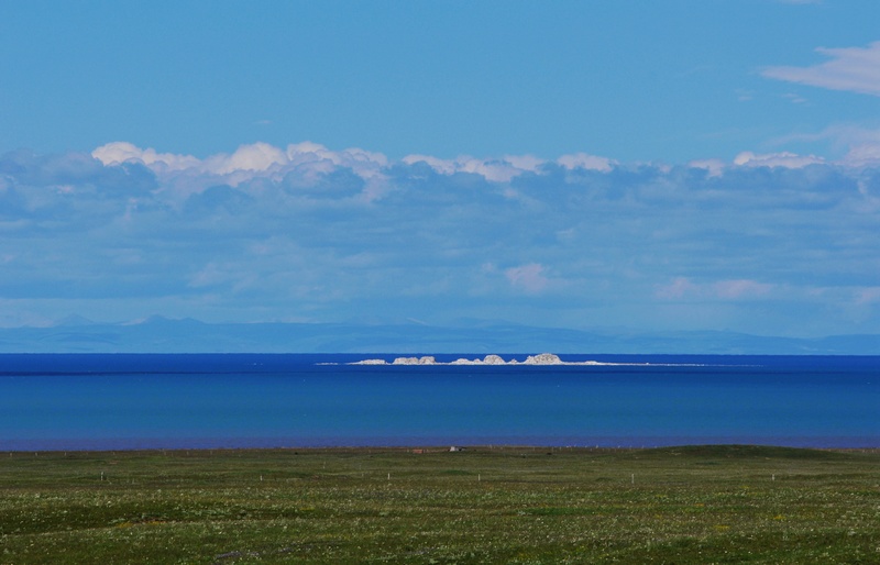 dsc_1130-1.jpg