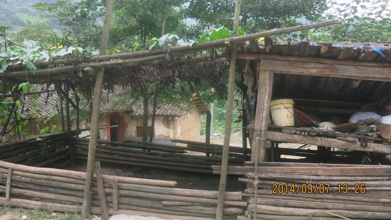 qqͼƬ20140918092631.jpg