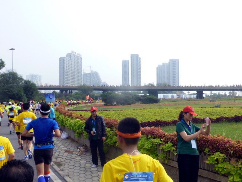 p1250753.jpg