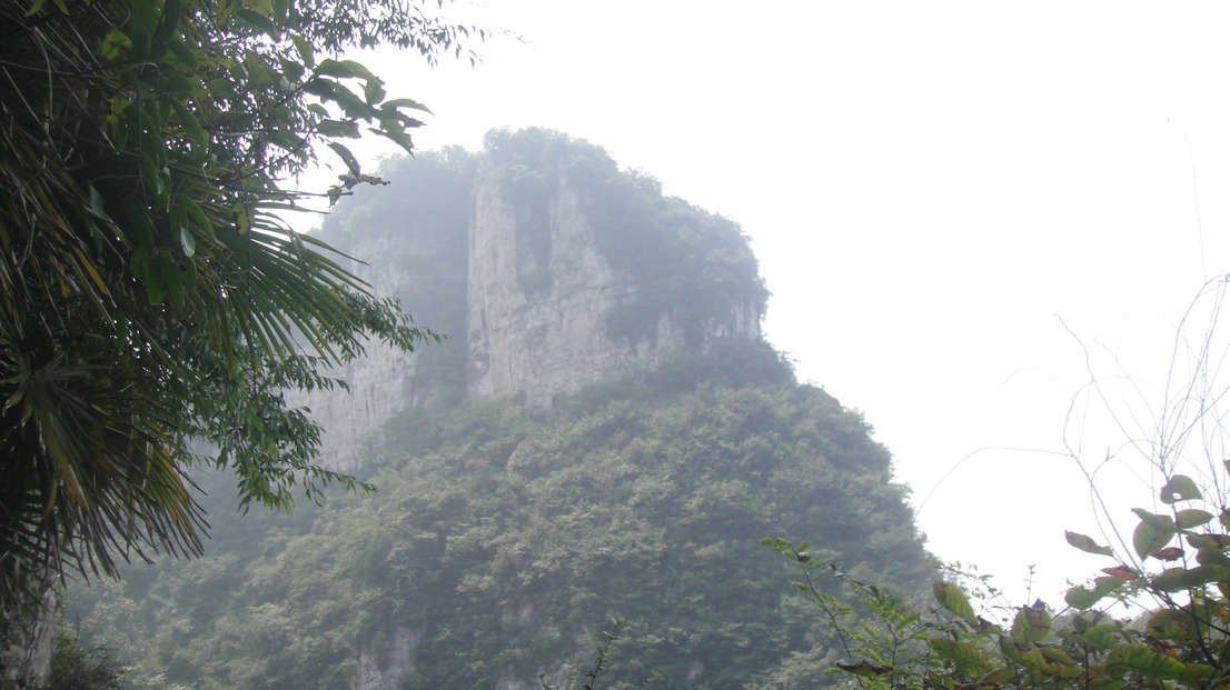 dsc05596.jpg