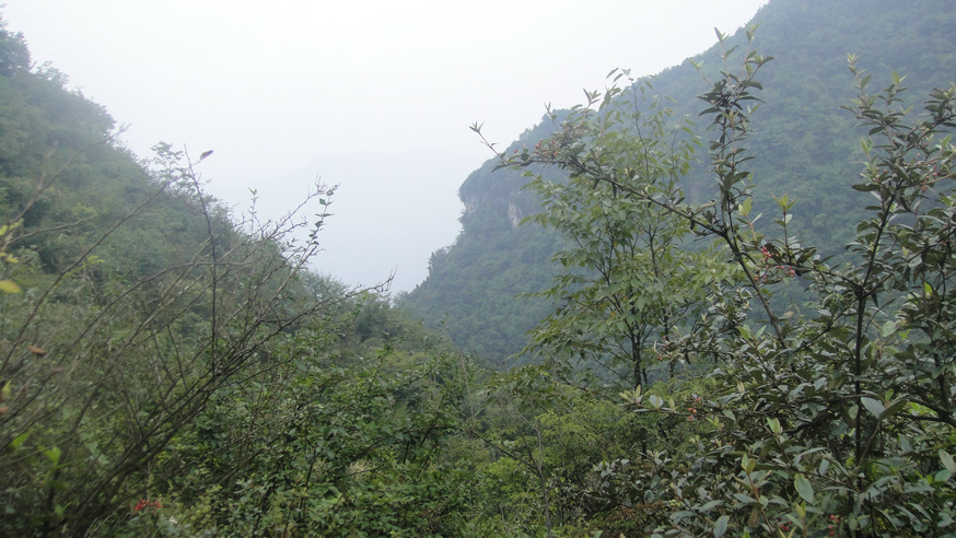 dsc05551.jpg
