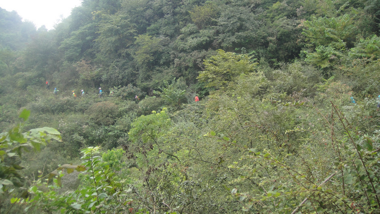 dsc05552.jpg