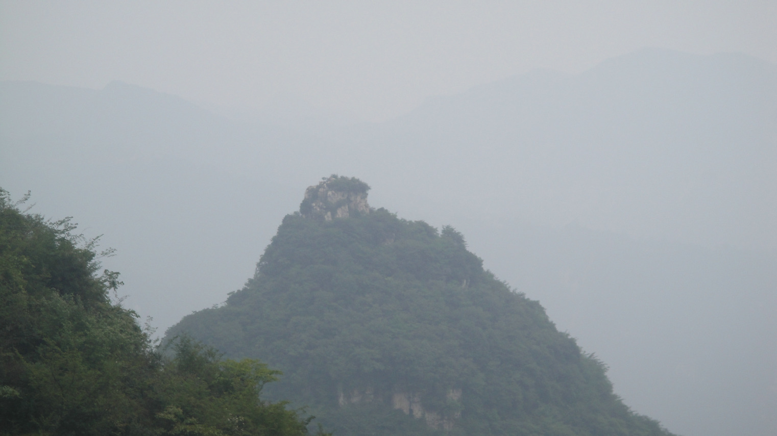 dsc05555.jpg