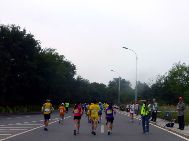 p1250782.jpg