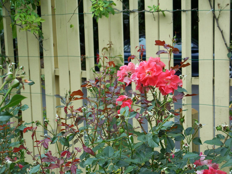 100_5571.jpg