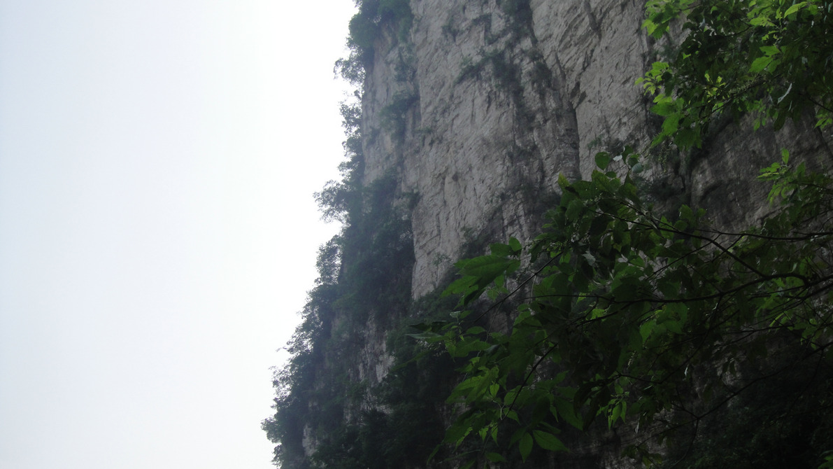 dsc05409.jpg
