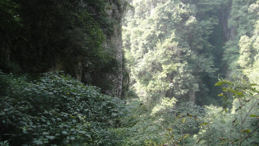 dsc05417.jpg
