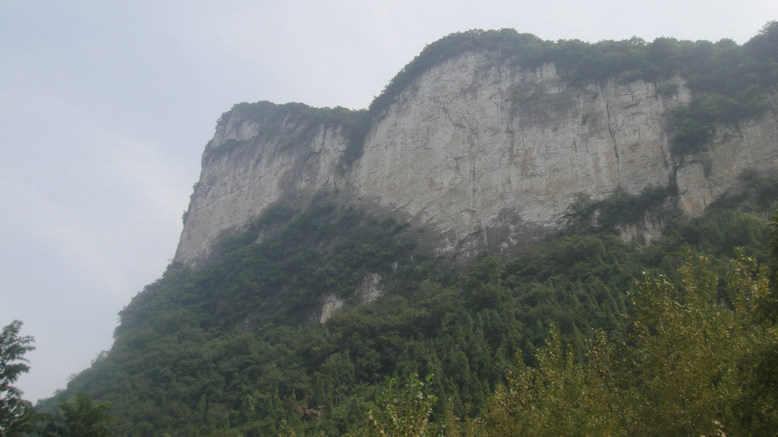 dsc05628.jpg