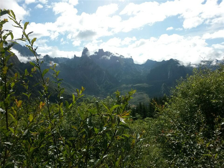 1184.jpg