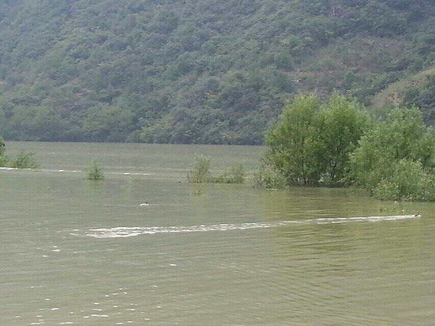 qqͼƬ20140909115541.jpg