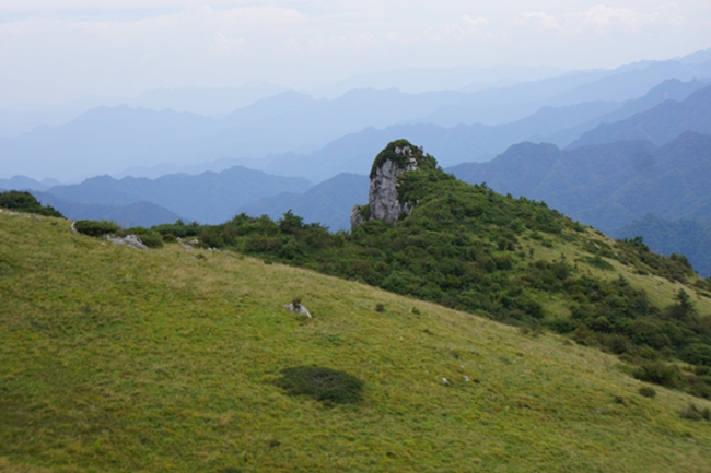 dsc02236_.jpg