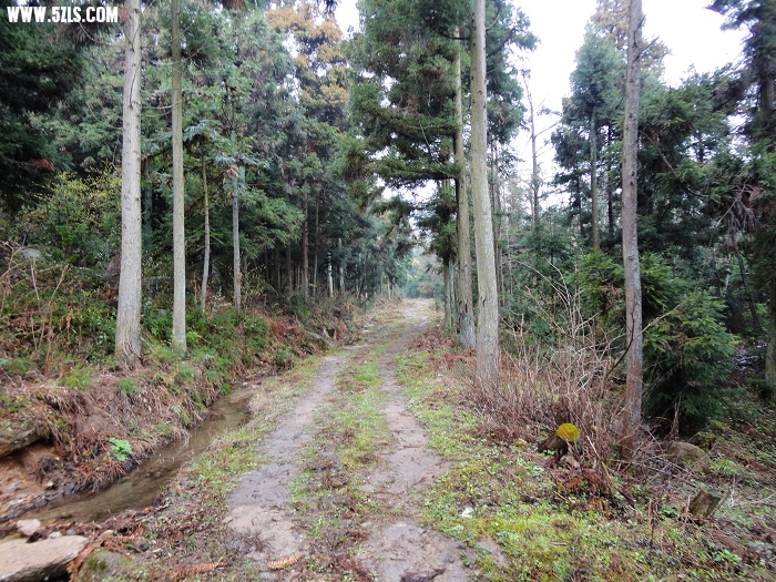 图91  从这里登黄龙山的路口.jpg