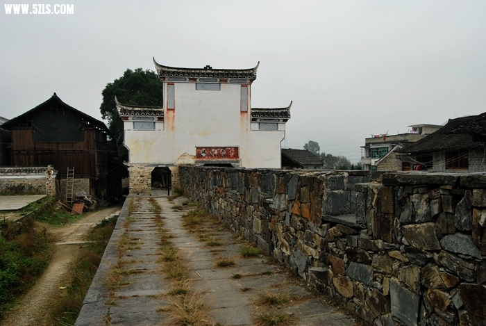 DSC_0297.JPG