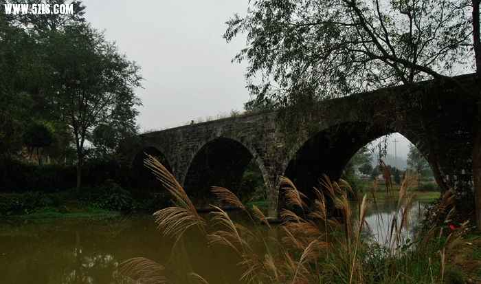 DSC_0216.JPG