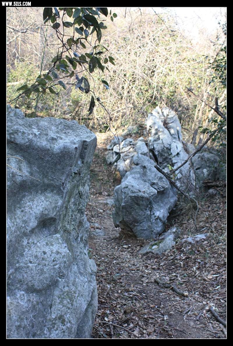 conew_img_0072.jpg