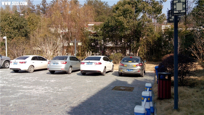 IMG_20140104_124056.jpg