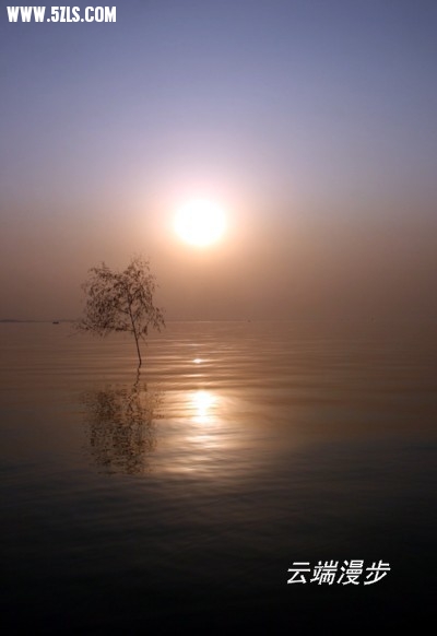 IMG_0852.jpg