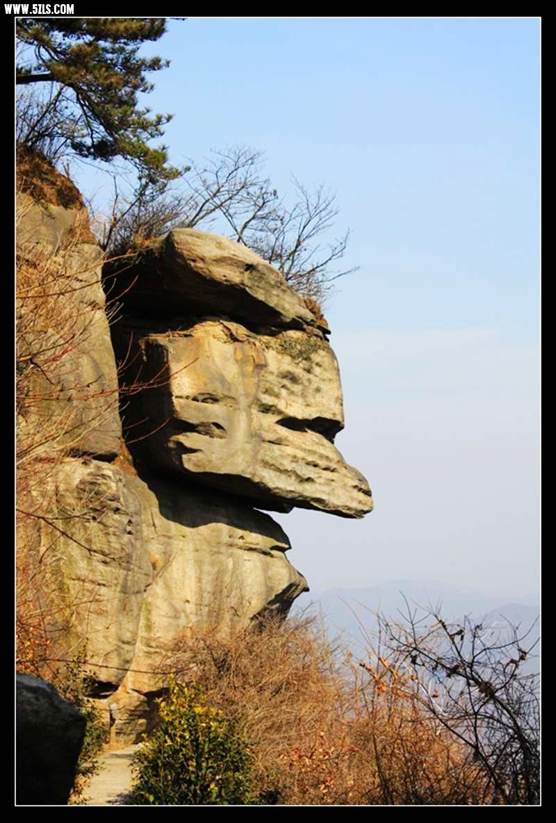 conew_72.jpg
