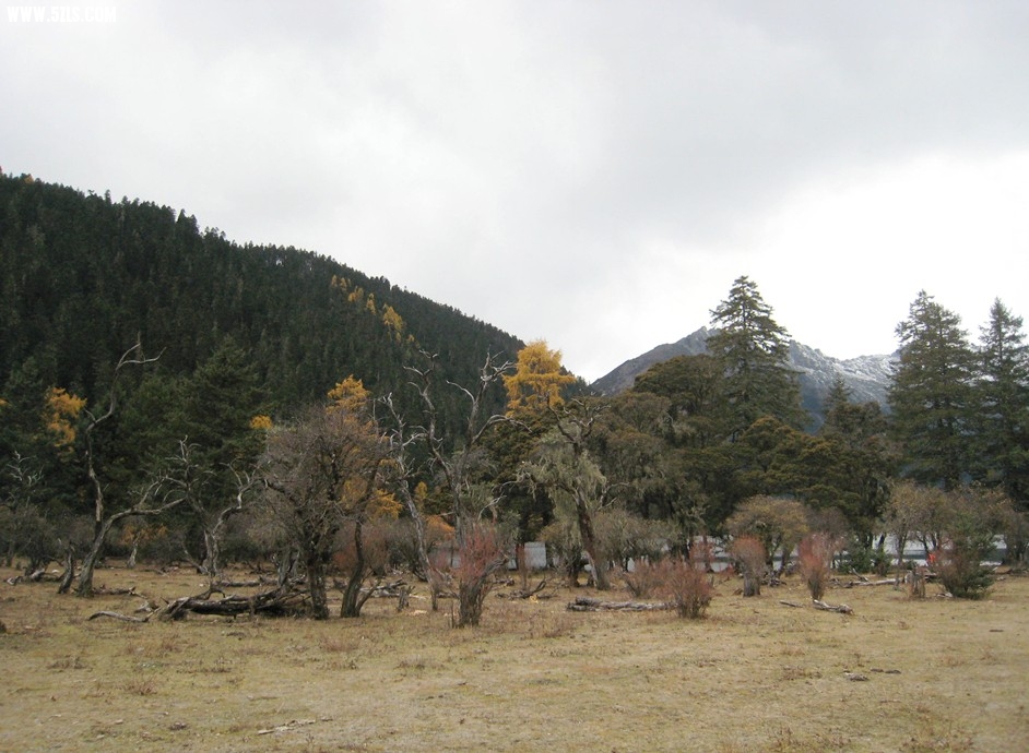 QQͼƬ20140103224121.jpg