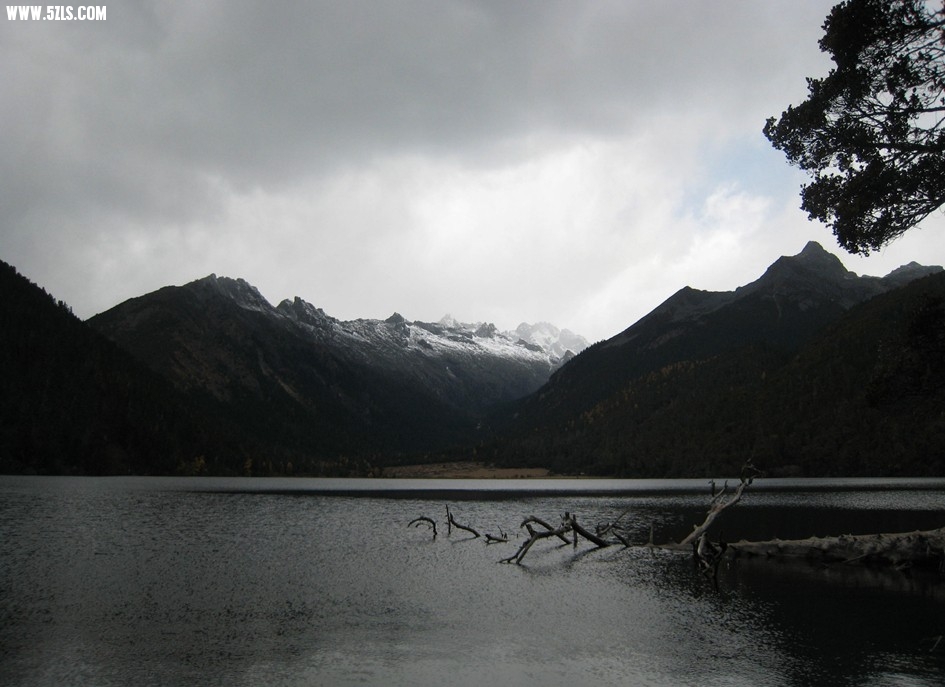 QQͼƬ20140103224252.jpg