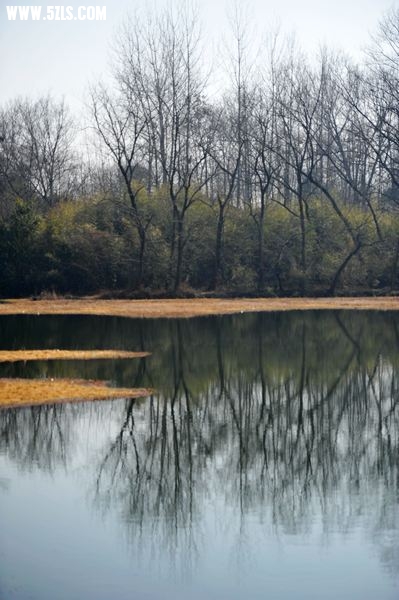 DSC_5121.jpg